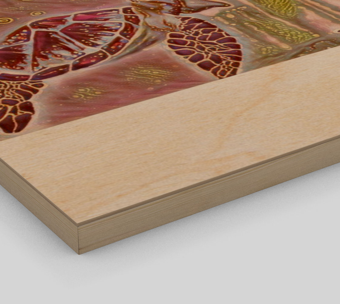 Turtle preview #3