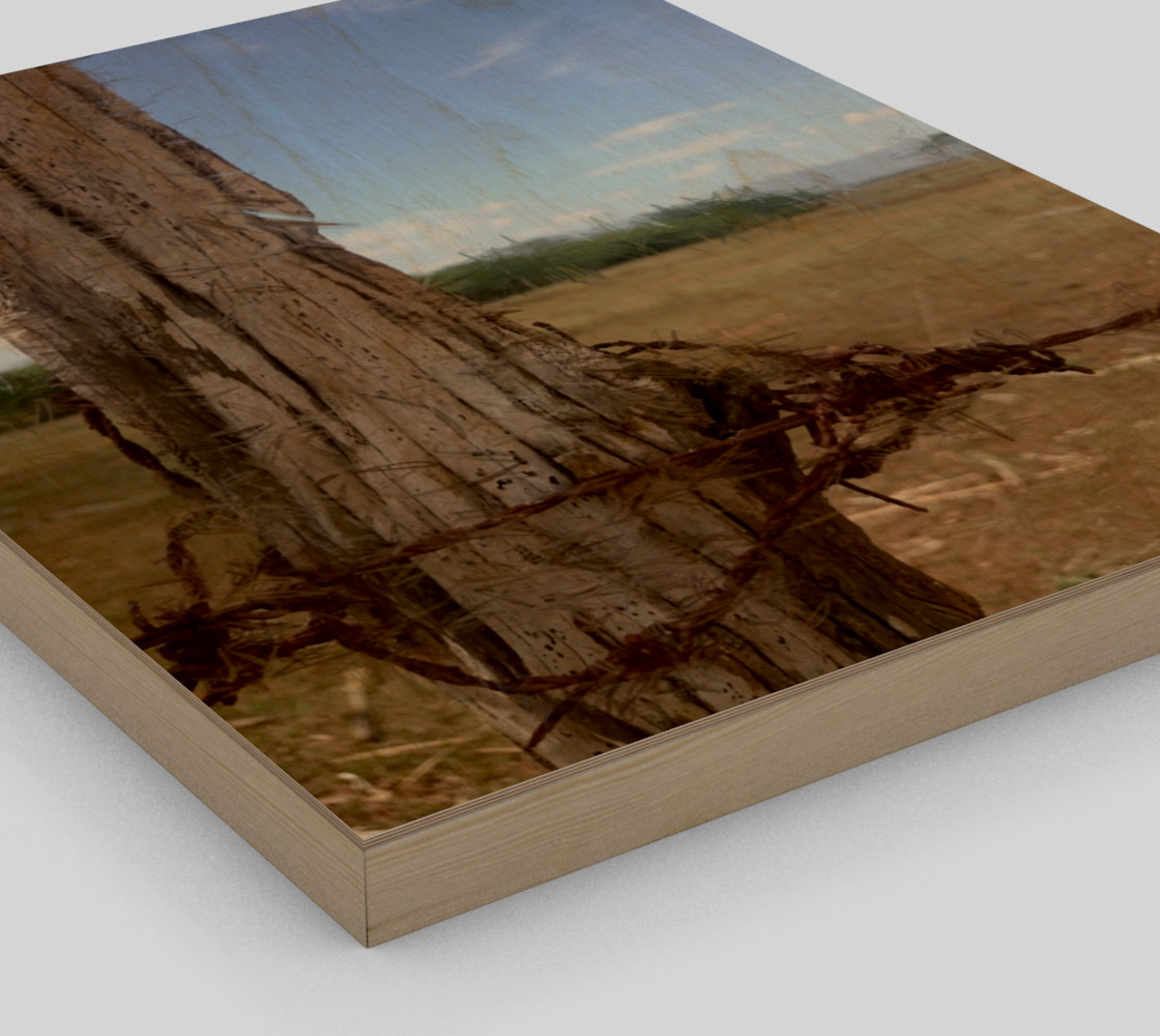EverLua 11*14 artwork Nature wire preview #3