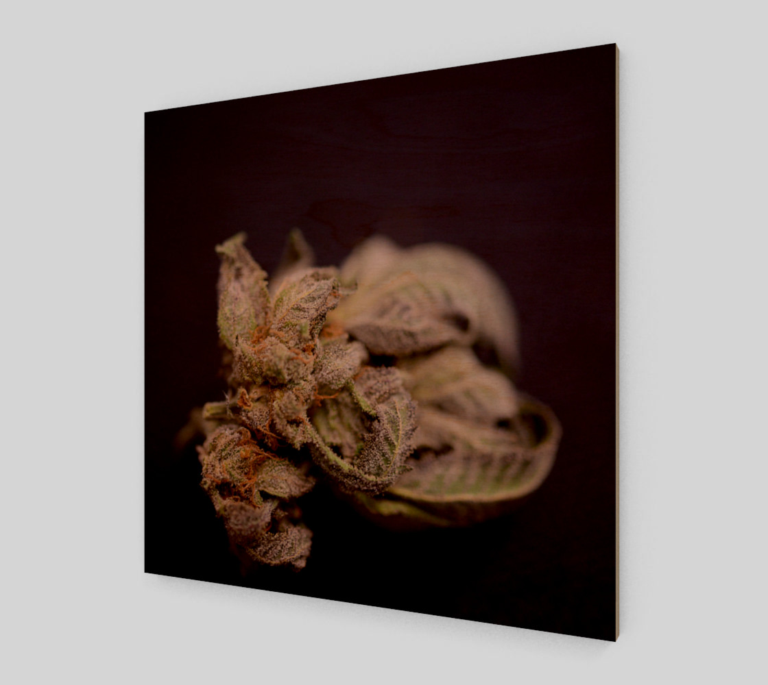 The Pot Factory Bham preview #1