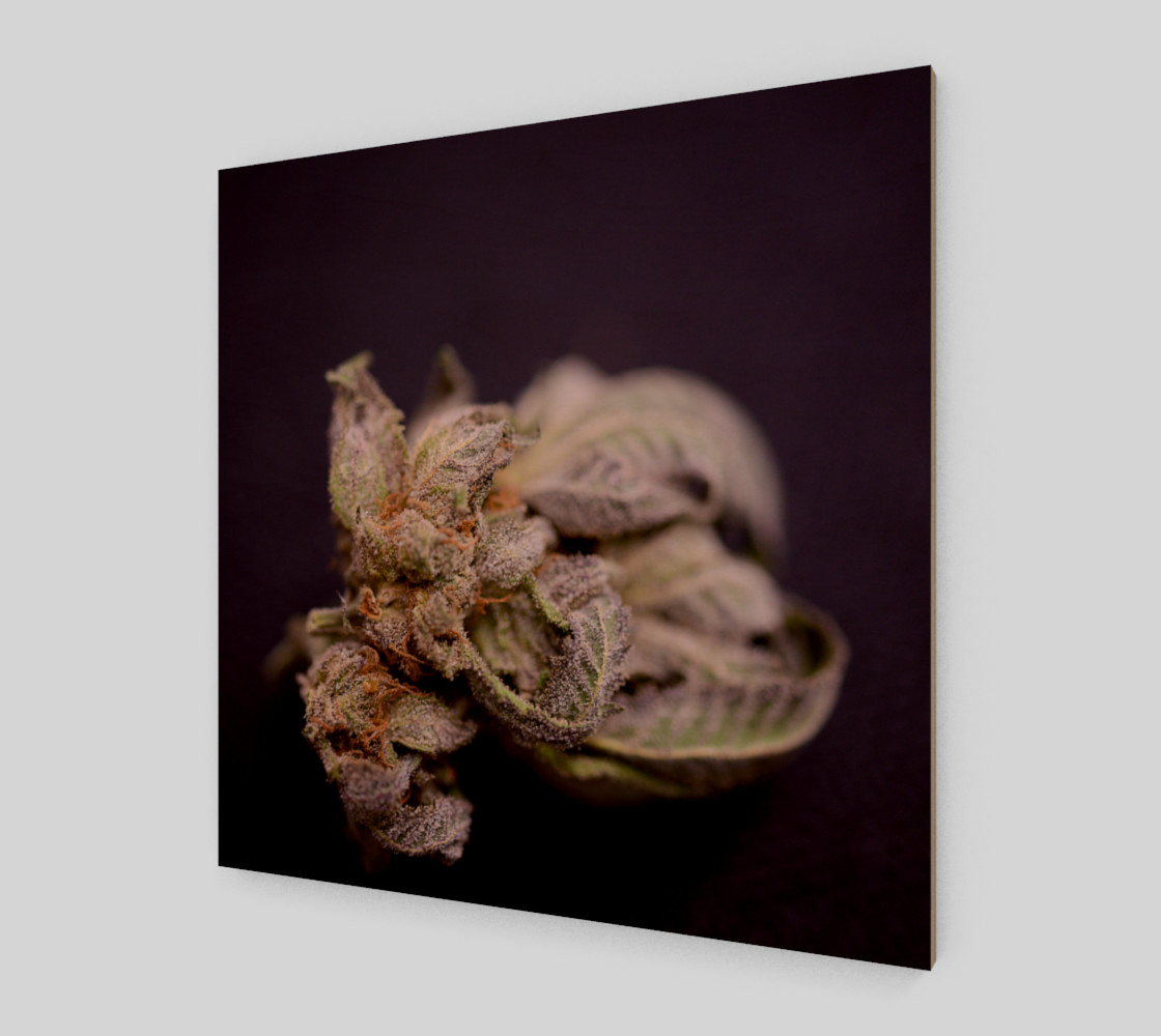 The Pot Factory Bham preview #2