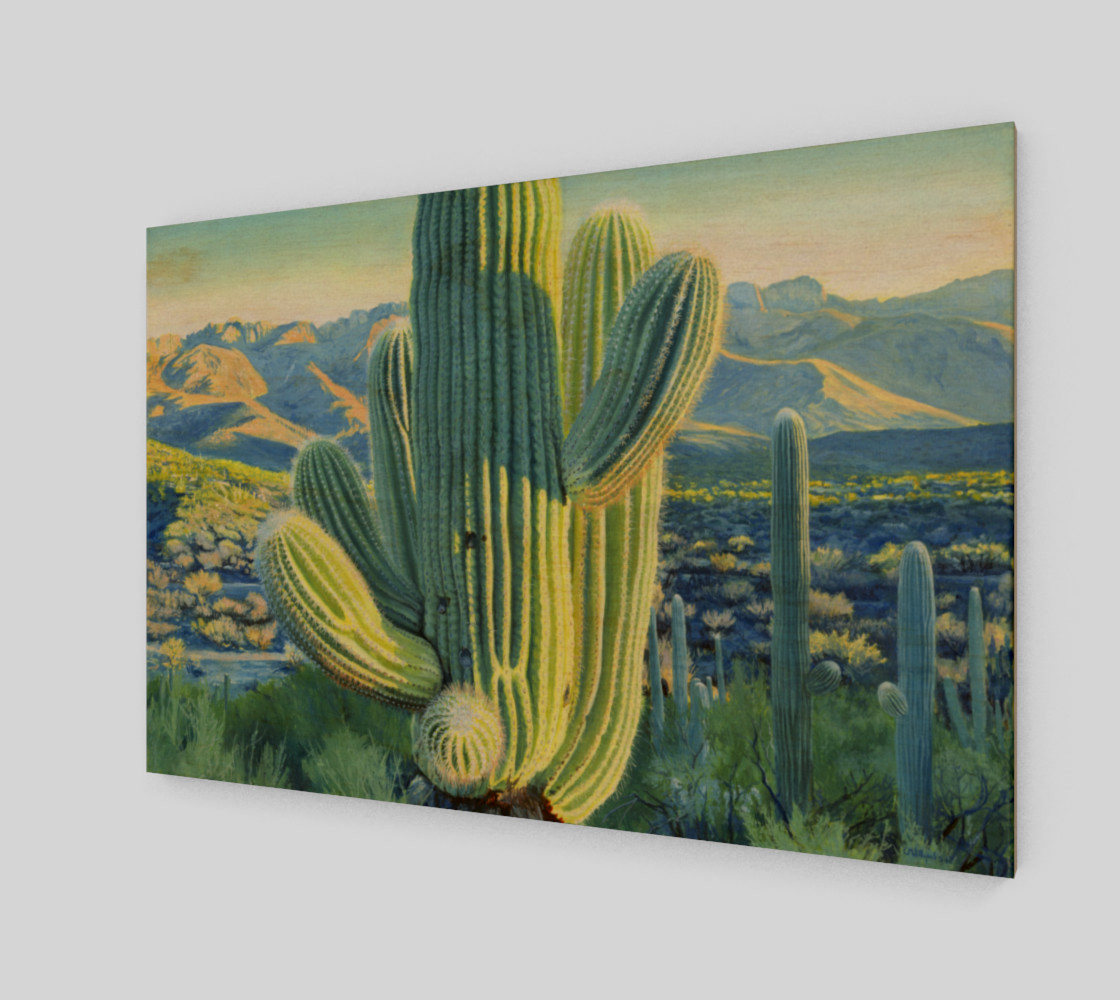 Saguaro 1 preview #1