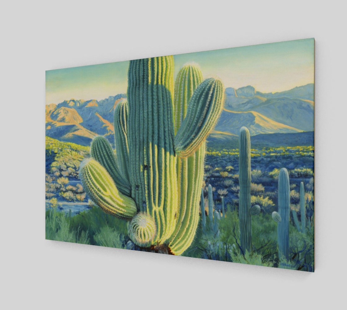 Saguaro 1 preview #2