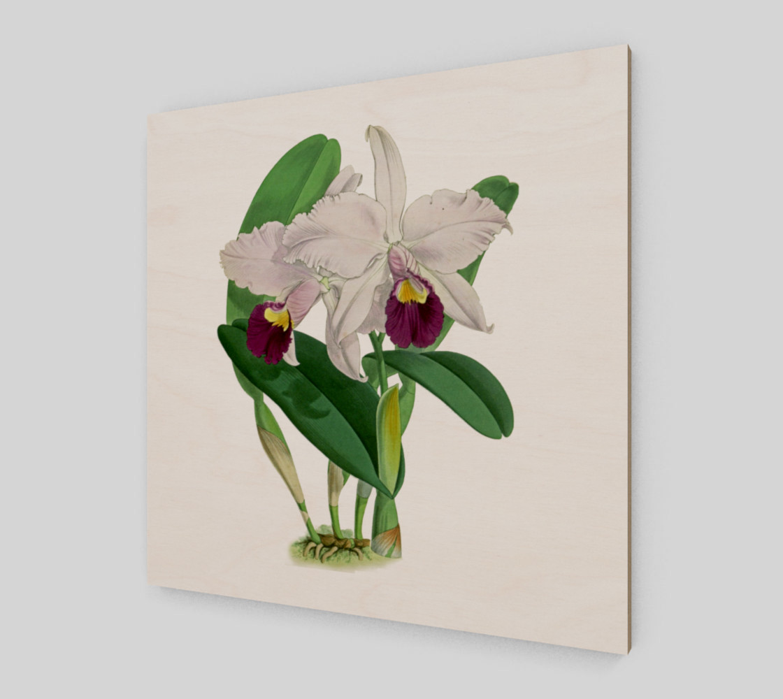 FF - Vintage Flower-Orchid-2 preview #2