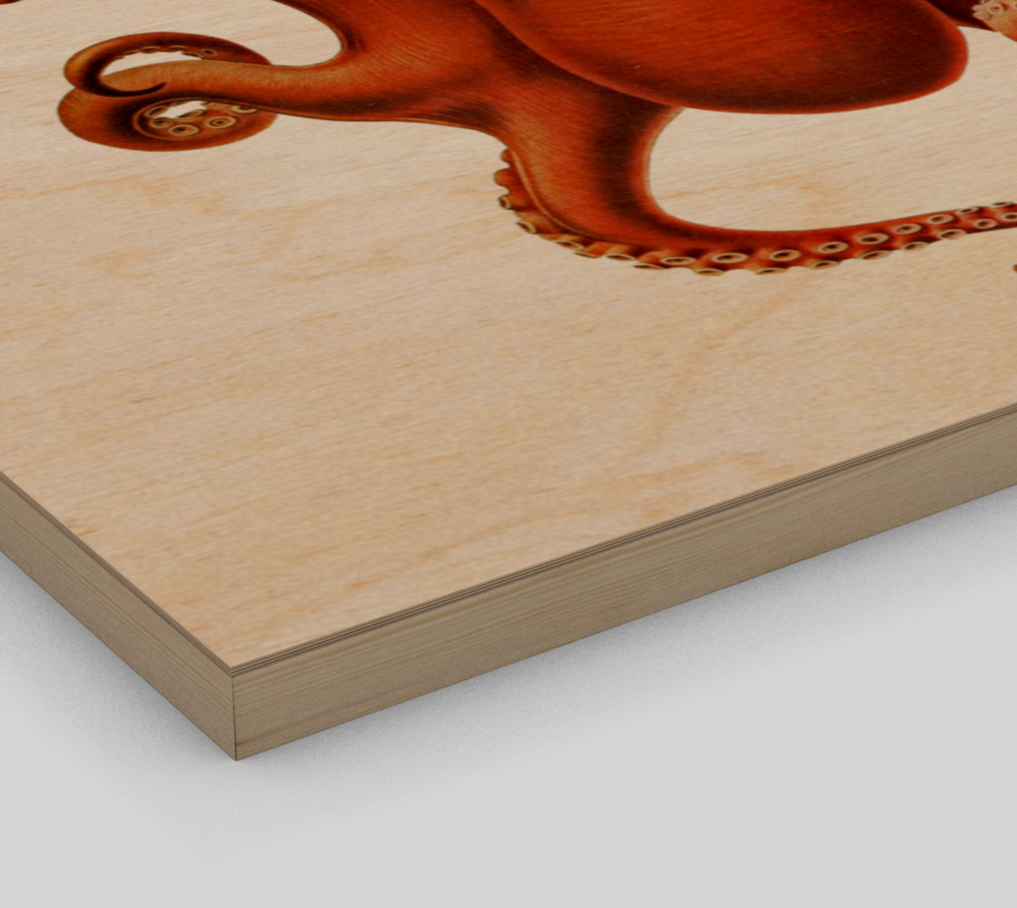 FF - Octopus-2 preview #3