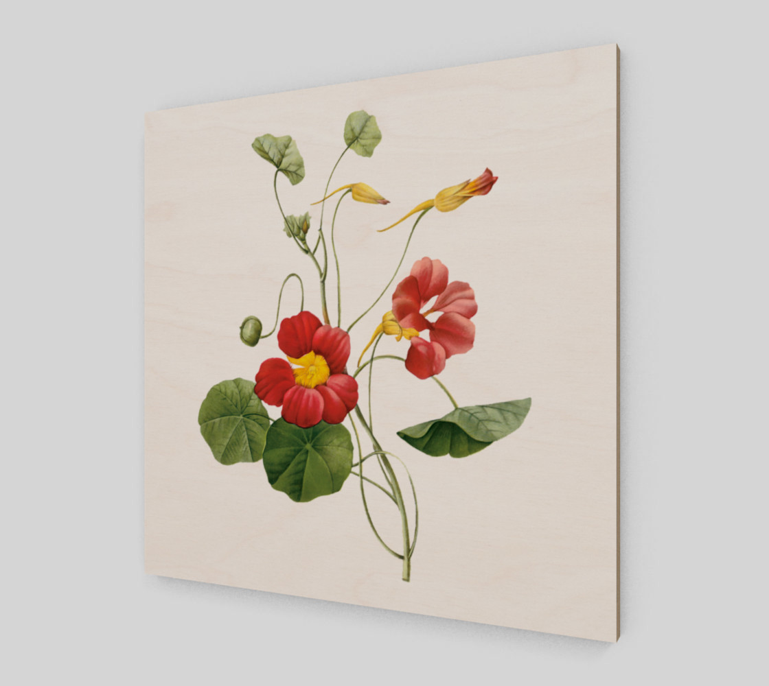 FF - Vintage - Flower - Nasturtium - Pierre Joseph Celestin Redouté thumbnail #3