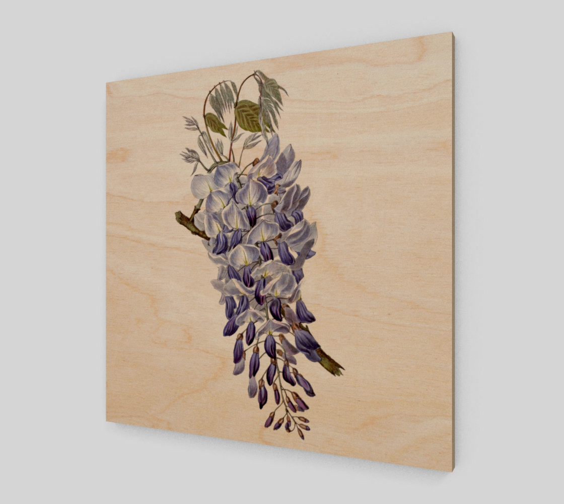 FF - Vintage - Flower - Wisteria preview #1