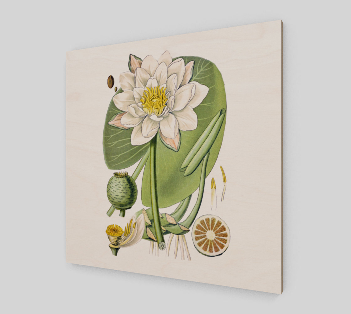 FF - Vintage Flower - Water Lily preview #2