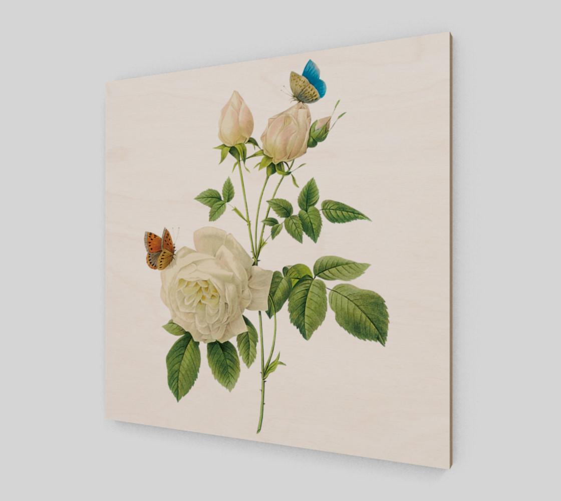 FF - Vintage Flower - White Rose - Butterflies preview #2
