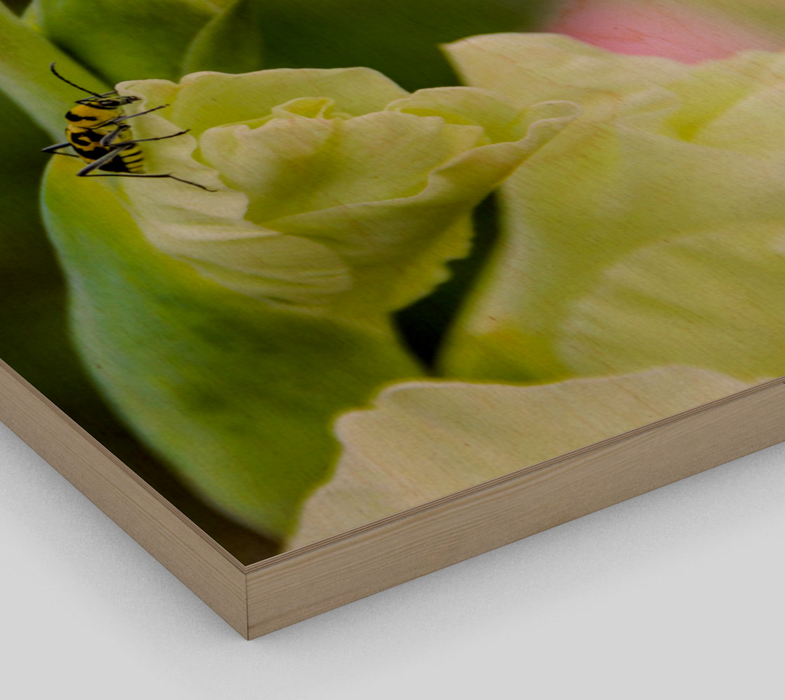 Bee on a gladiola flower preview #3