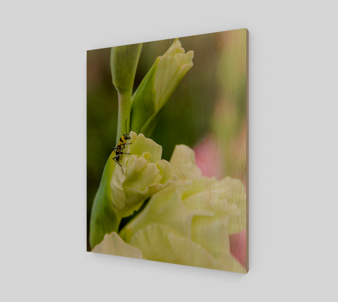 Bee on a gladiola flower preview #1