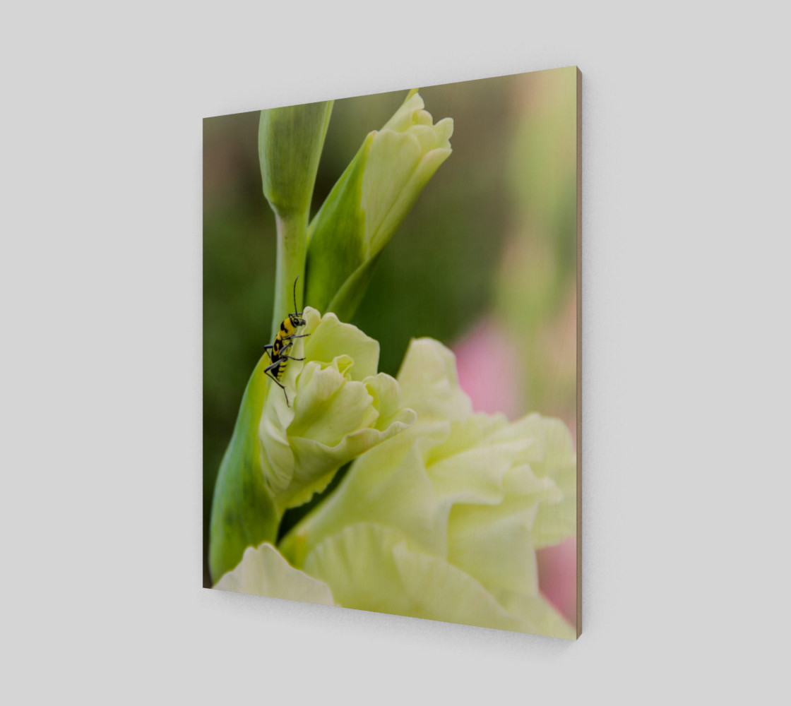 Bee on a gladiola flower preview #2
