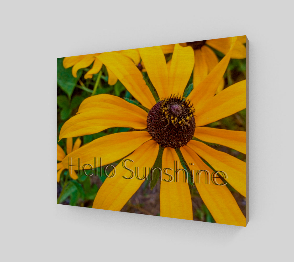 Hello Sunshine preview #1