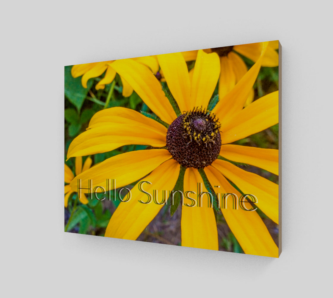 Hello Sunshine preview #2