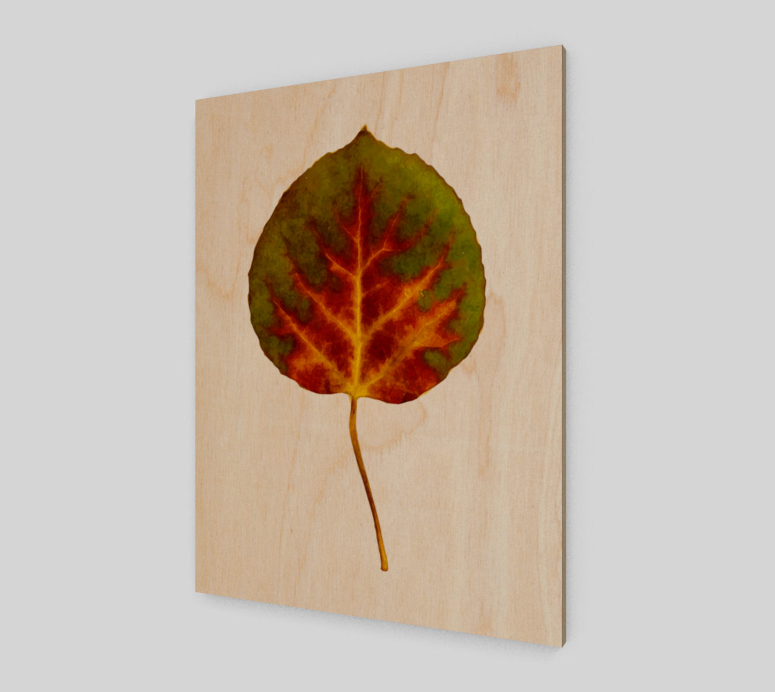 Aspen Leaf preview #1