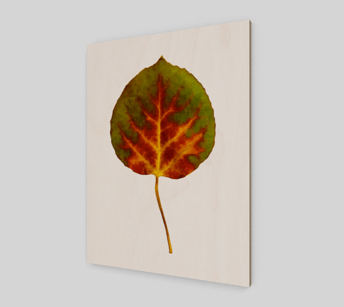 Aspen Leaf preview #2