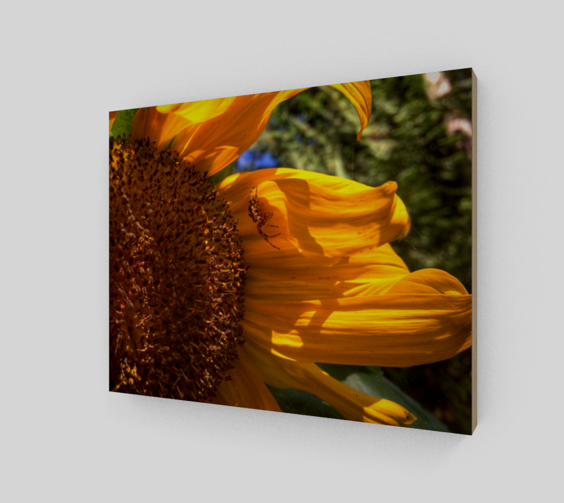 Cozy Sunflower for a Spider preview #2