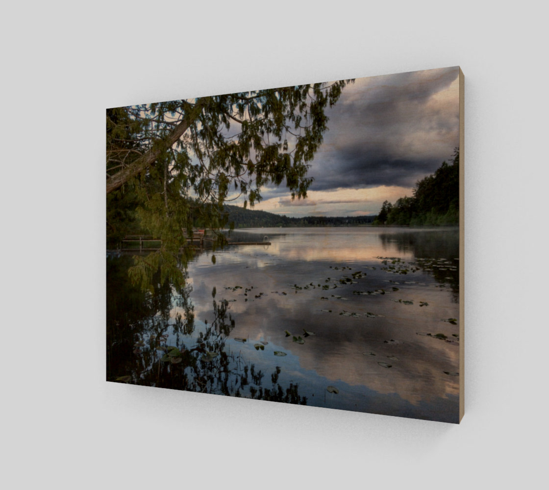 Reflecting on the Lake preview #1