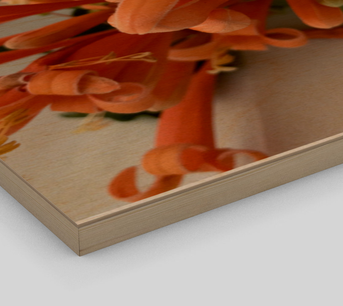 YMCA Orange Flower/Flor preview #3