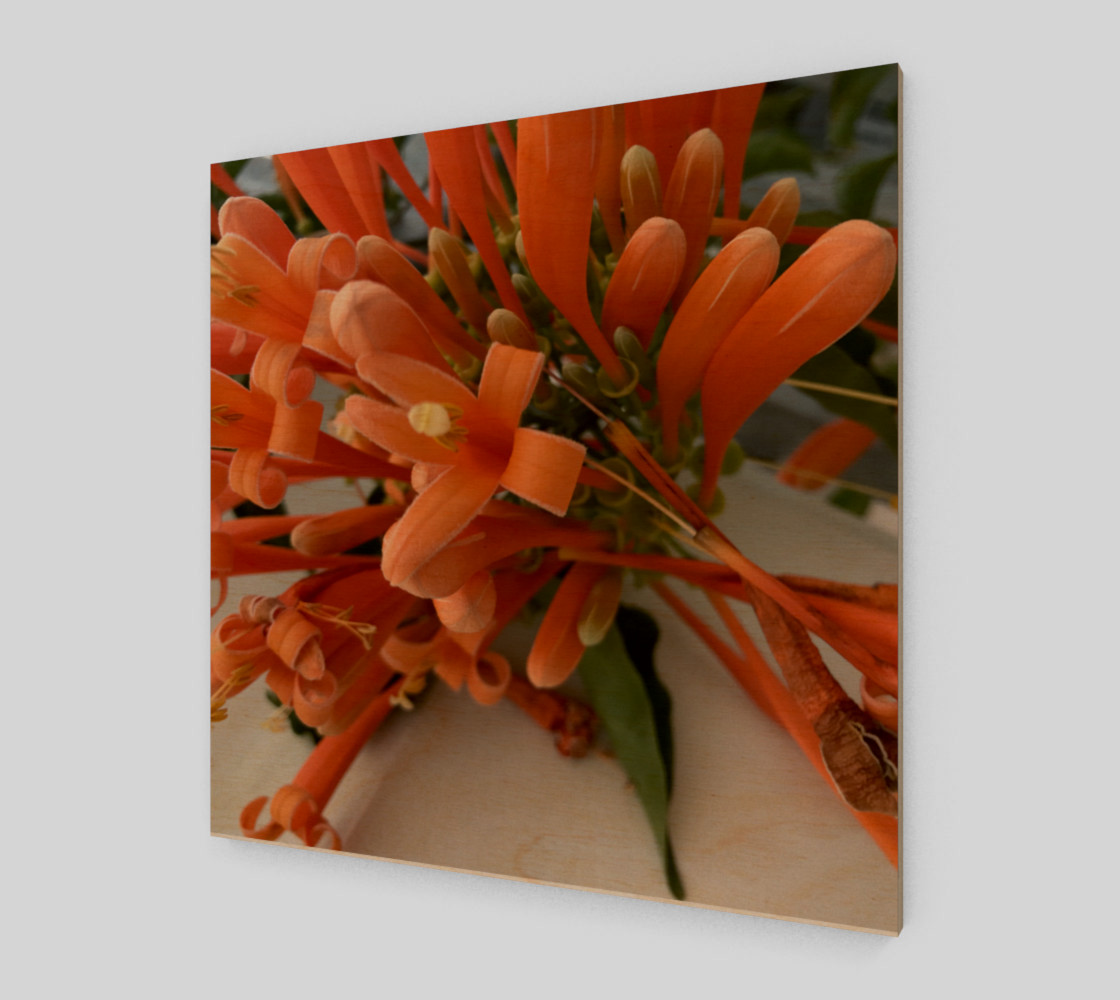 YMCA Orange Flower/Flor preview #1