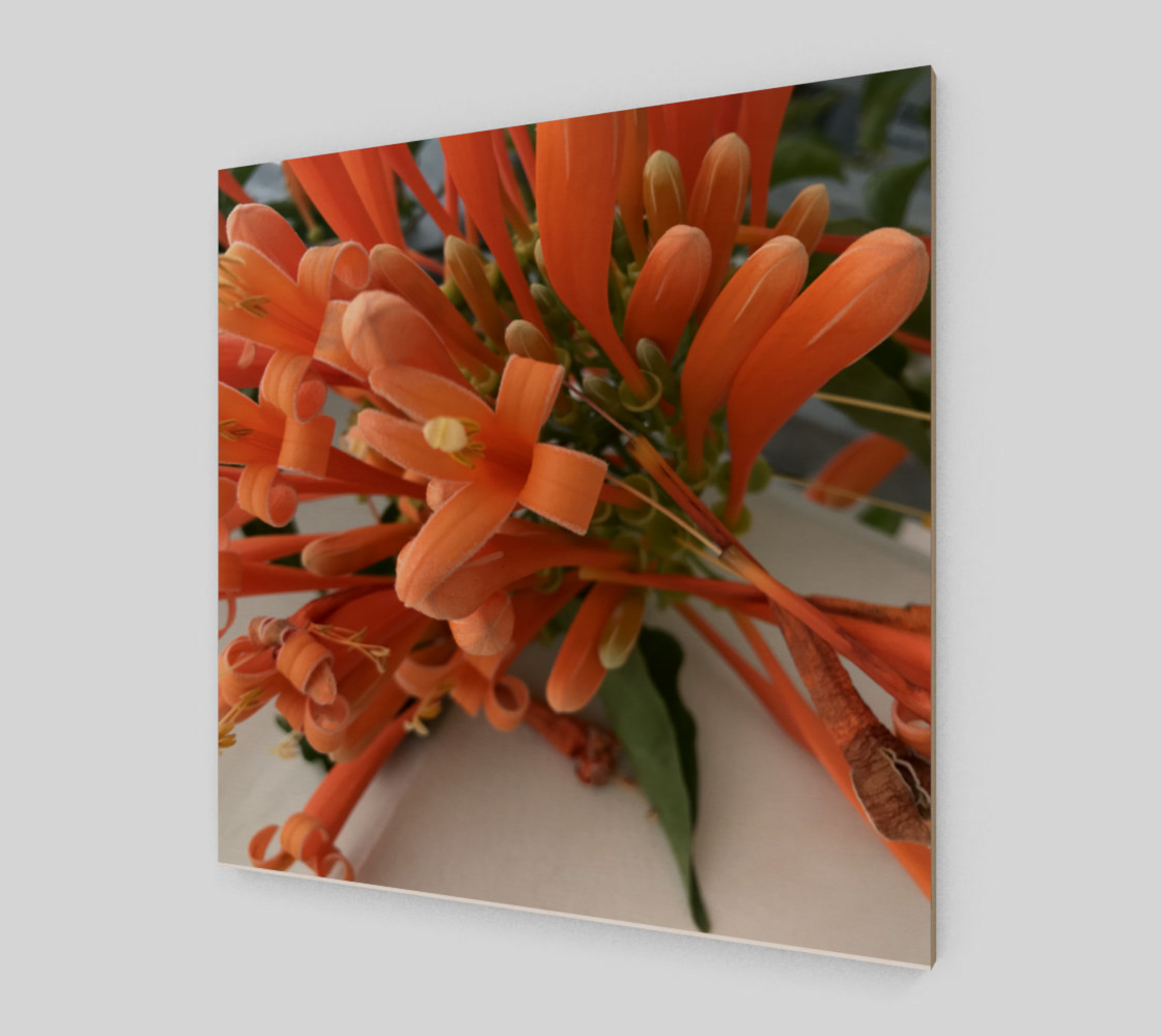 YMCA Orange Flower/Flor preview #2