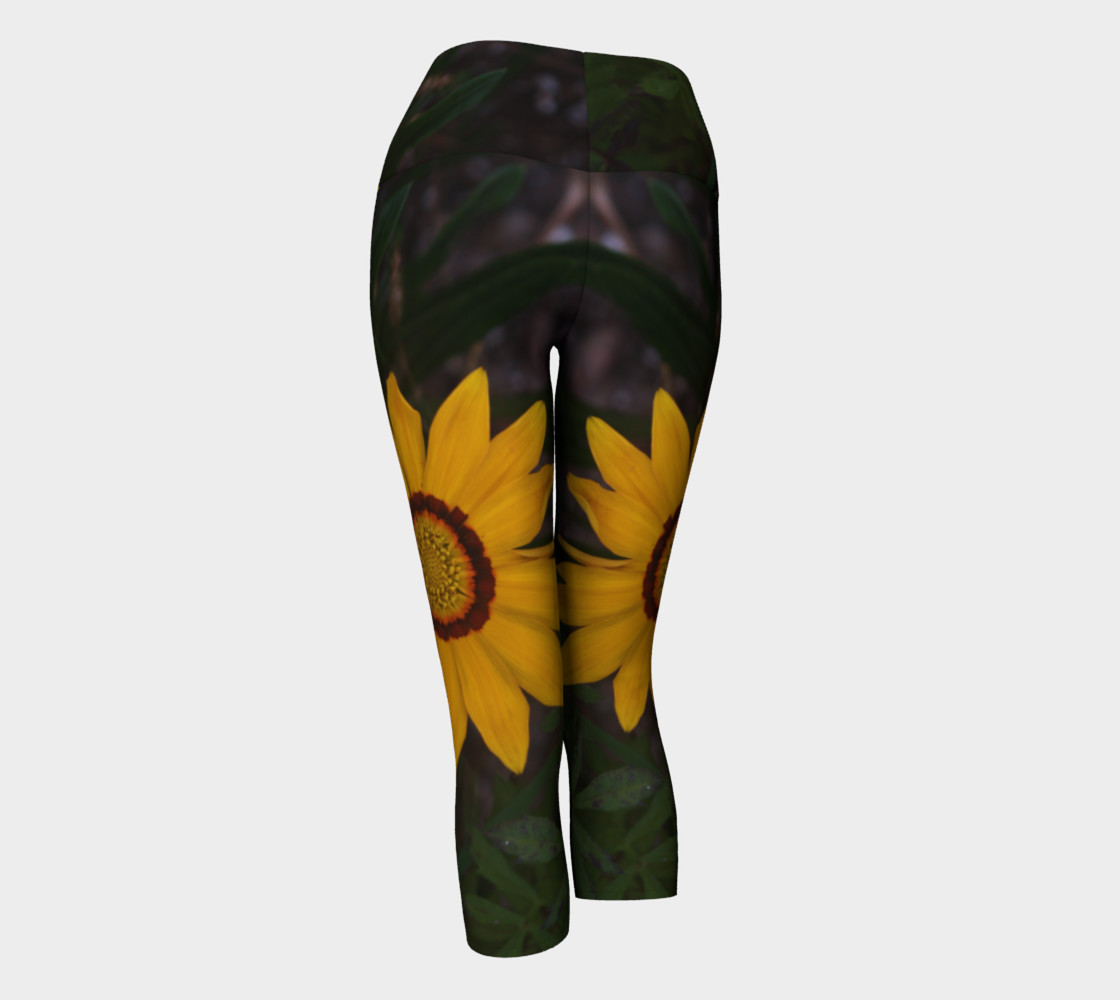 Gazania preview #3