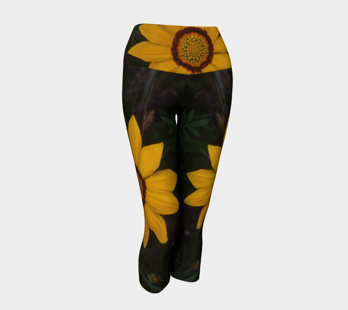 Gazania preview #1