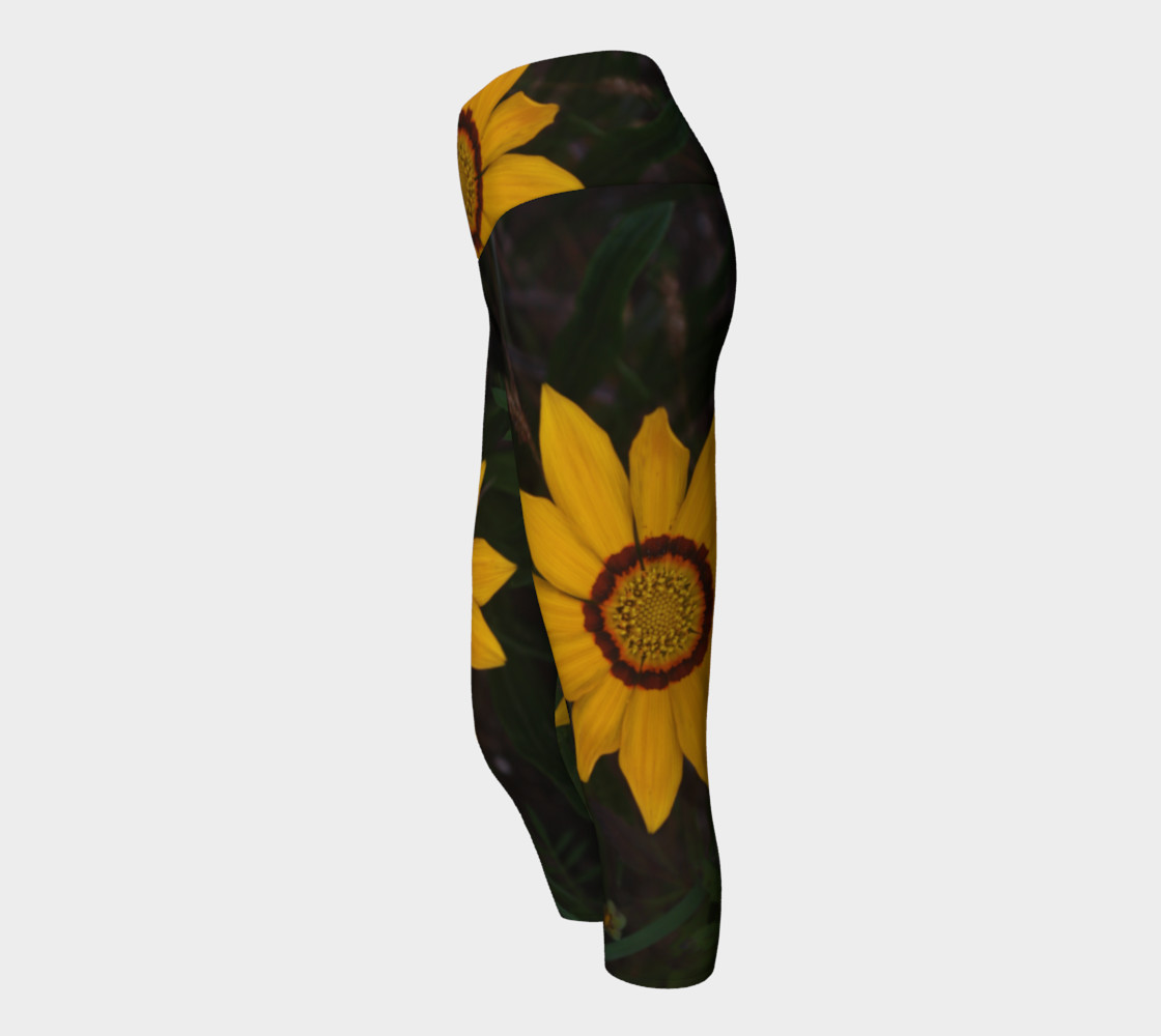 Gazania preview #2