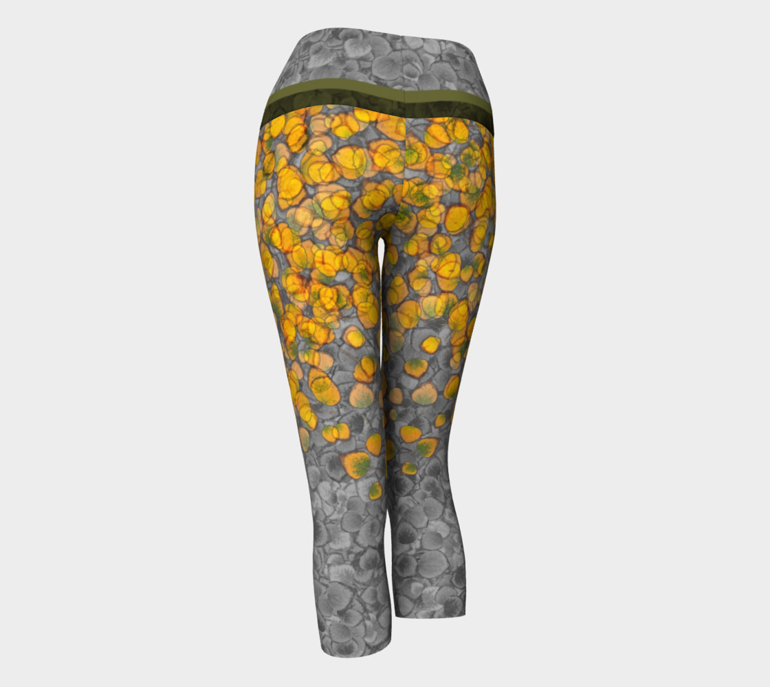 Aspen Leaves Capris 2 preview #3