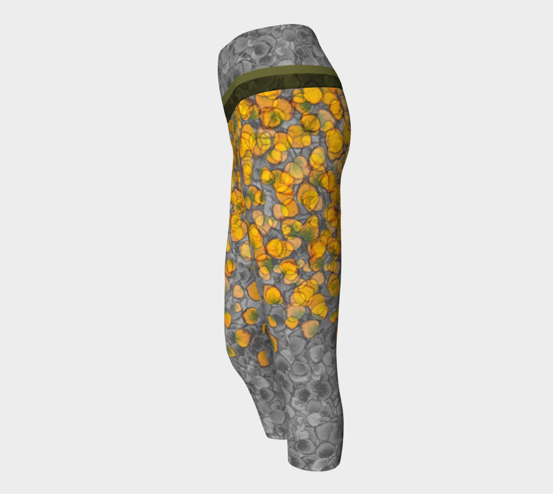 Aspen Leaves Capris 2 preview #2