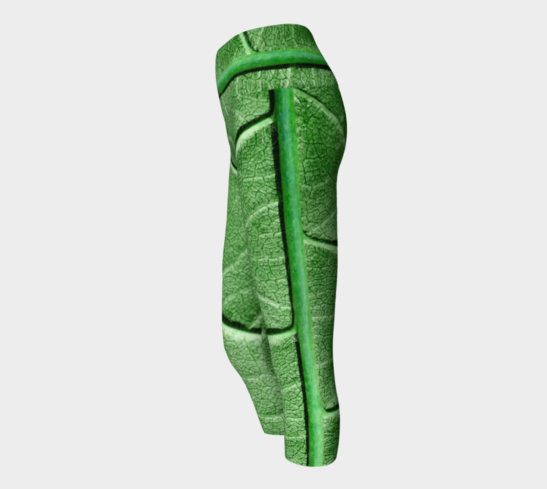 Veined Green Leaf preview #2
