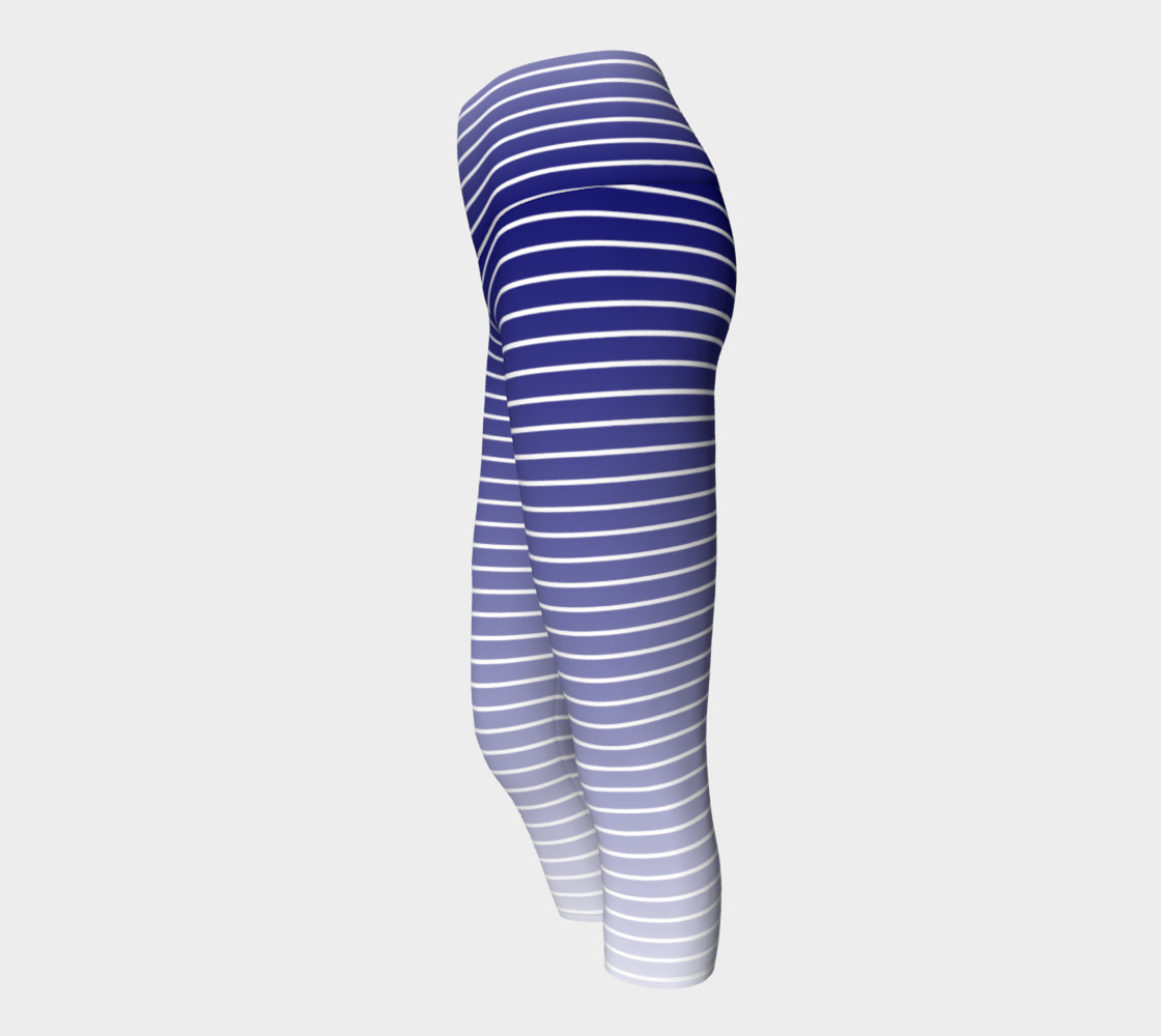 Lunatic Stripe Navy Fade with White Stripe preview #2