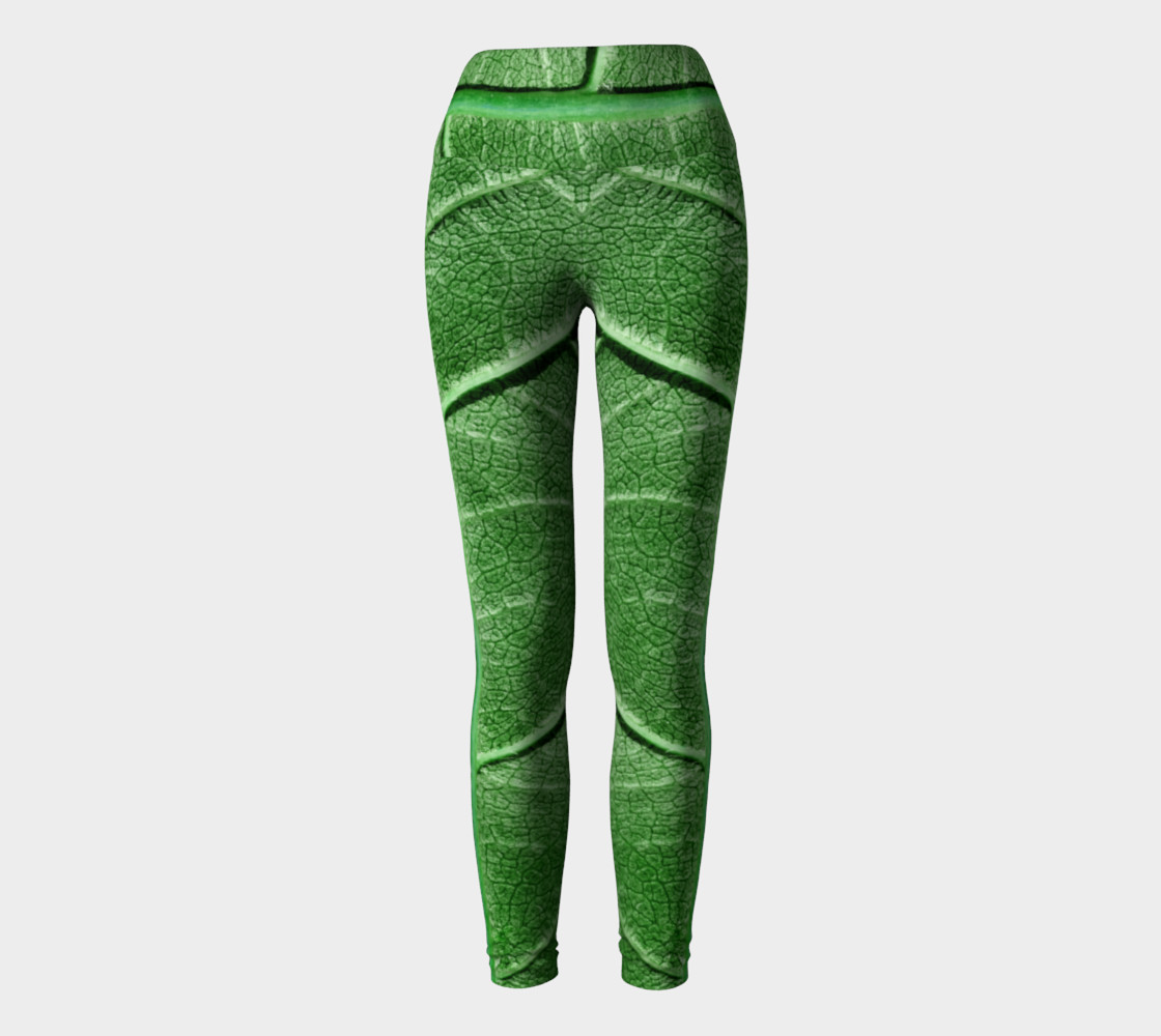 Veined Green Leaf preview #2