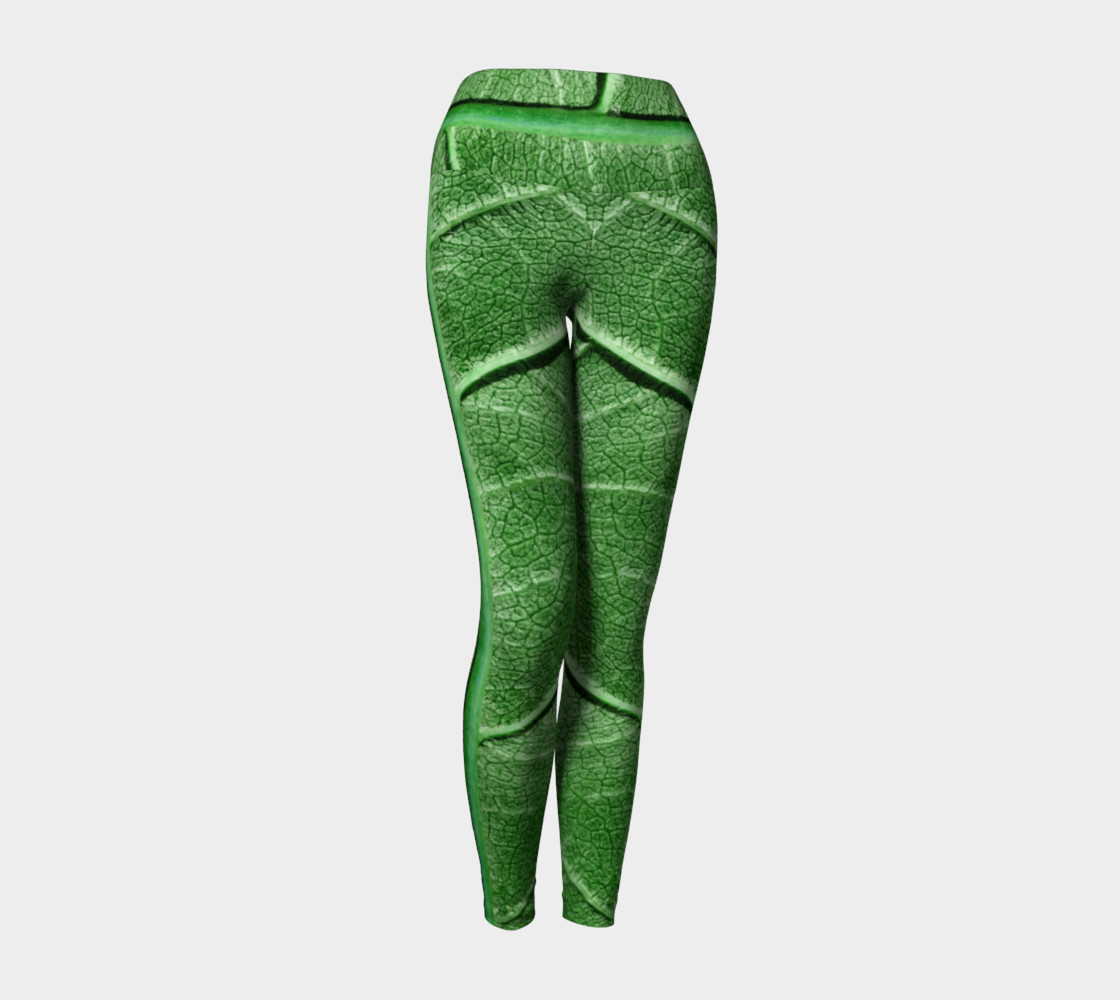 Veined Green Leaf preview #1
