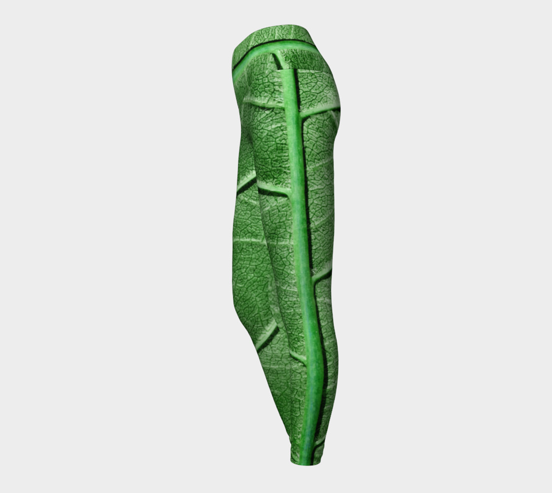 Veined Green Leaf preview #3