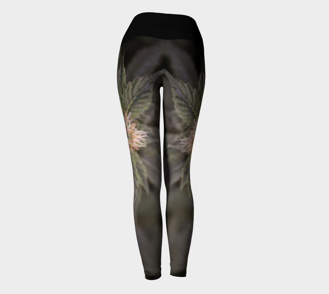 Bellingham Yoga Booty preview #4