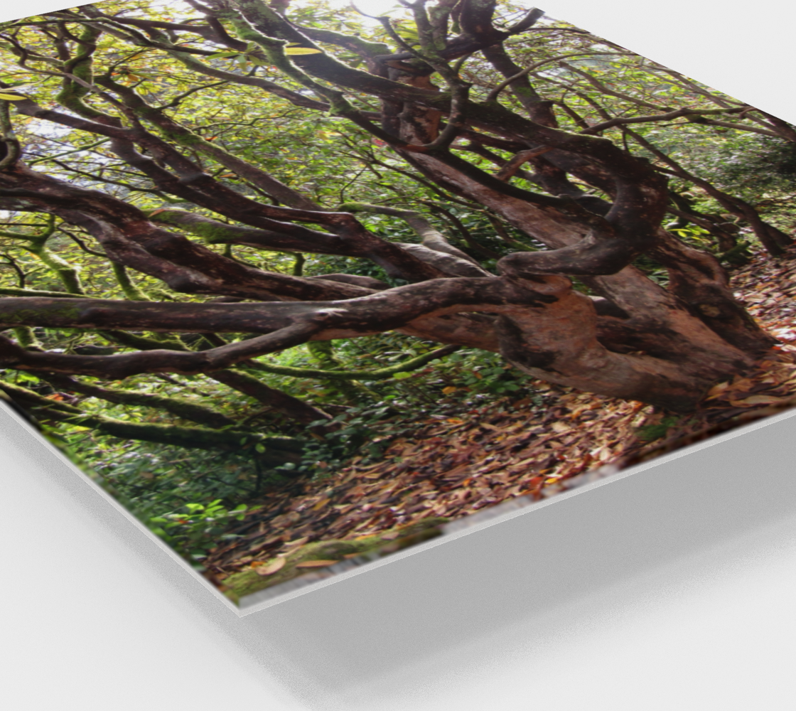 Treez preview #2
