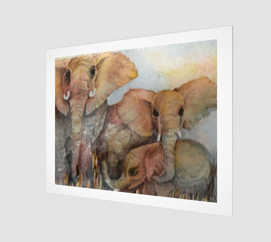 Elephant Family preview #1