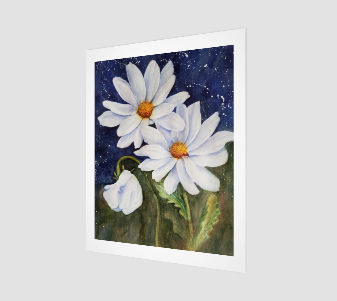Fabulous White Daisies preview #1