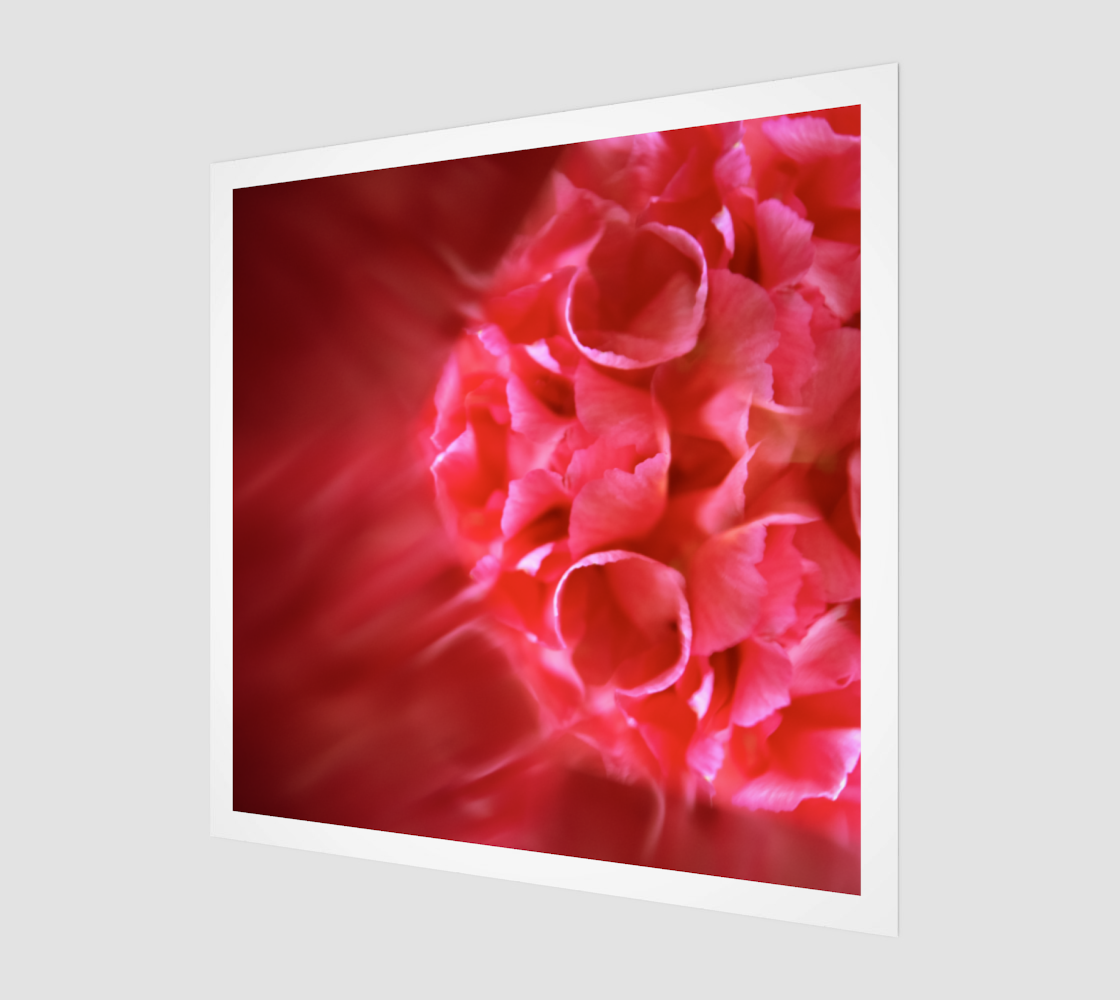 Aperçu de Floral Carnation Orb:  Kaleidoscope Photography