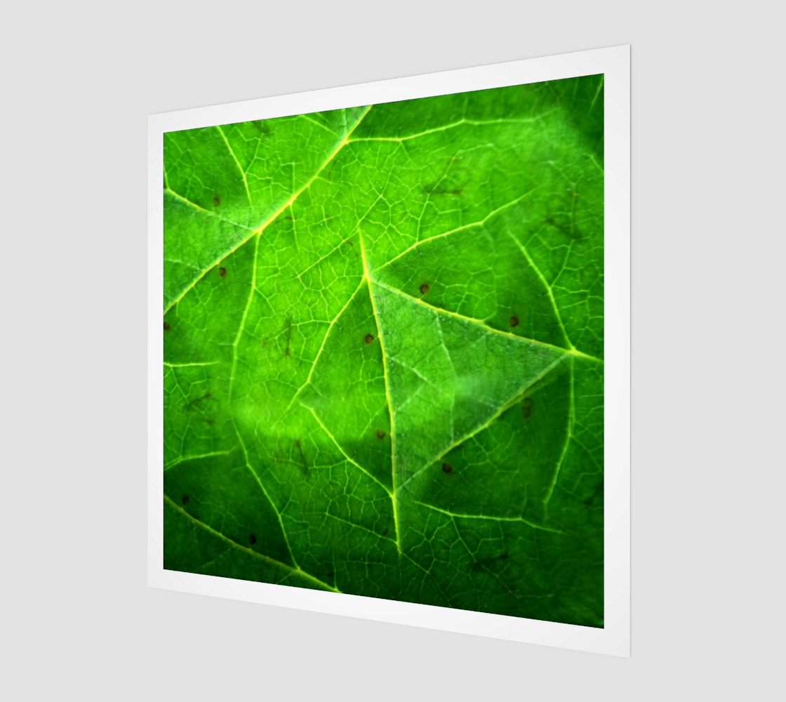 Aperçu de Macro Leaf: Kaleidoscope Photography