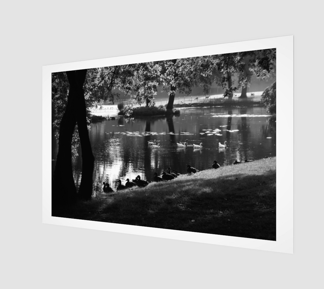 Park Life Wall Art preview #1