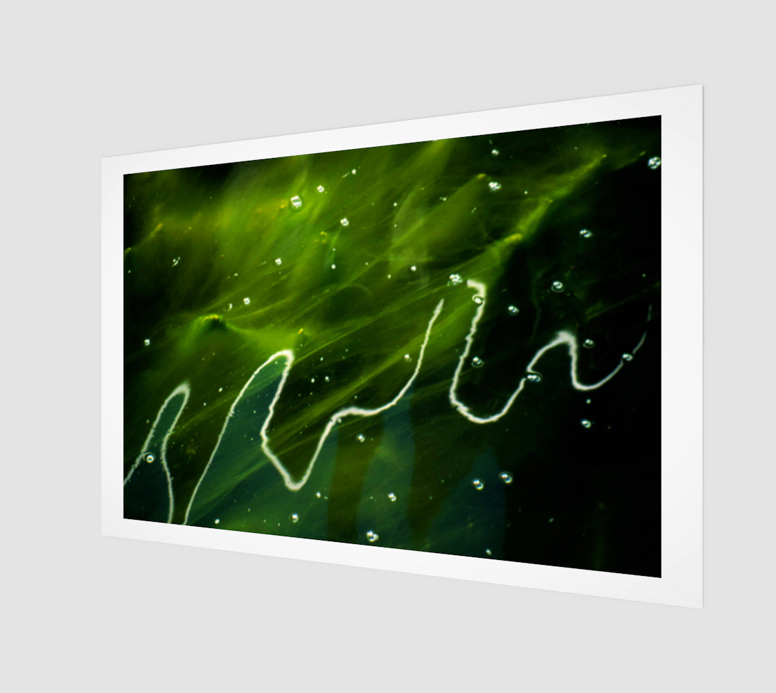 Green Algae and Water Wood Print preview
