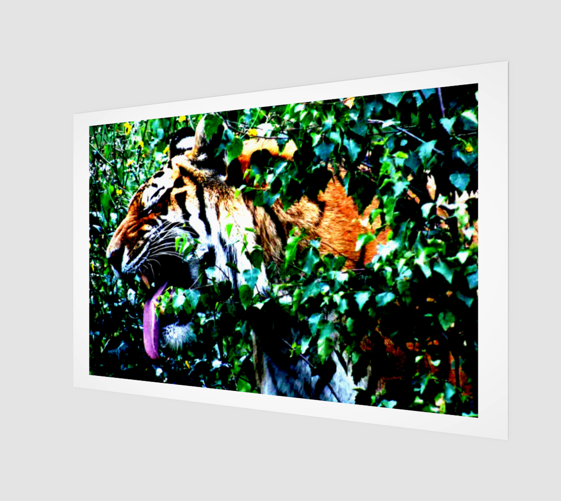 Amur Tiger Acrylic Print preview