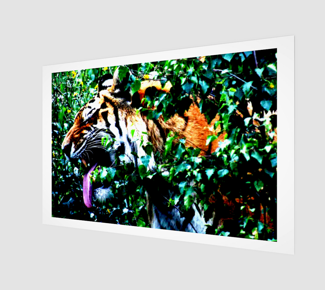 Amur Tiger Poster Print preview #1