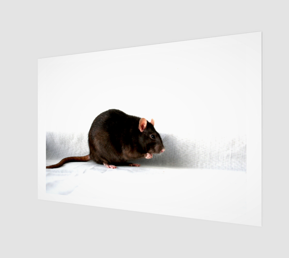 Rat Wood Print preview