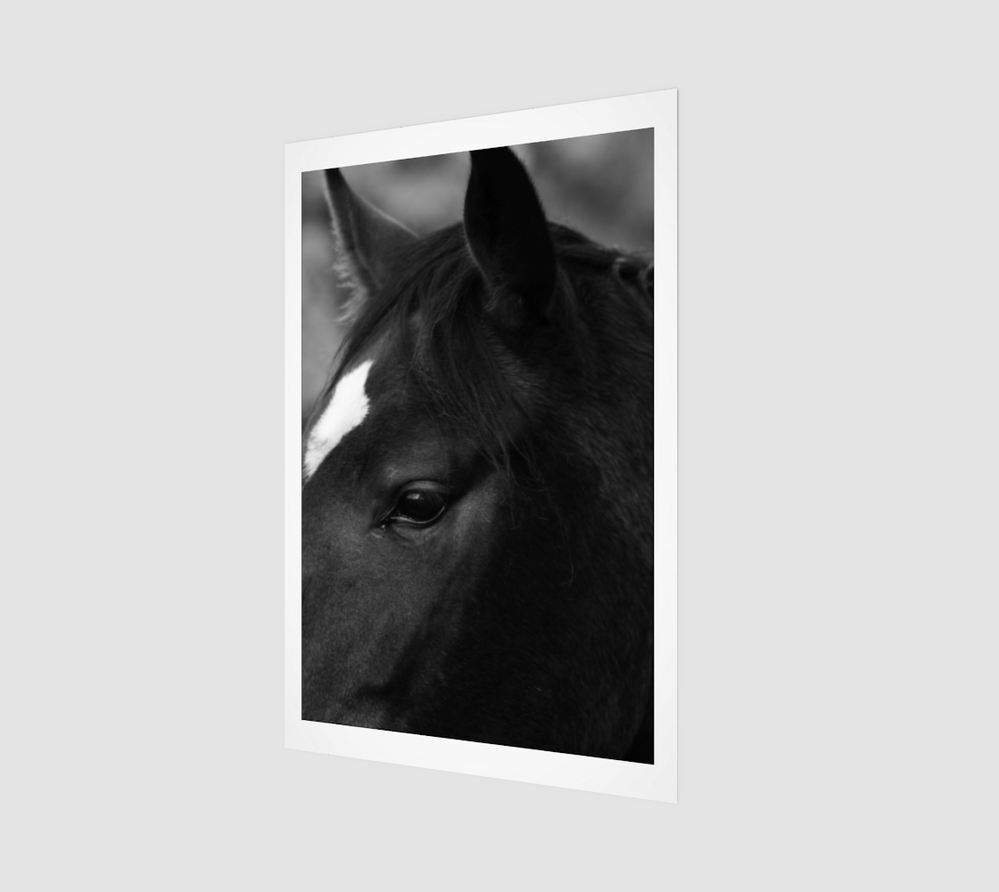 Horse Art Print preview