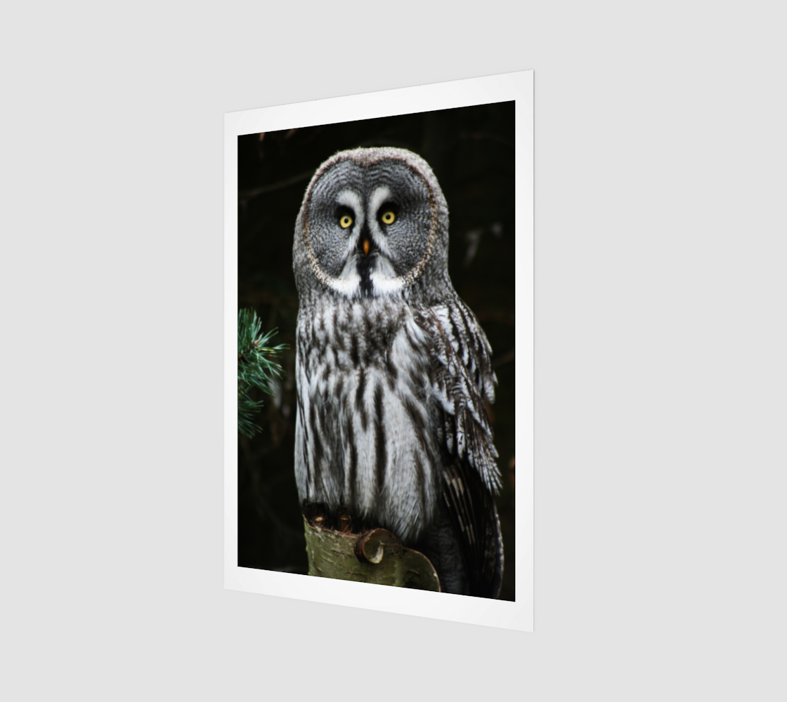 The Great Grey Owl Art Print preview