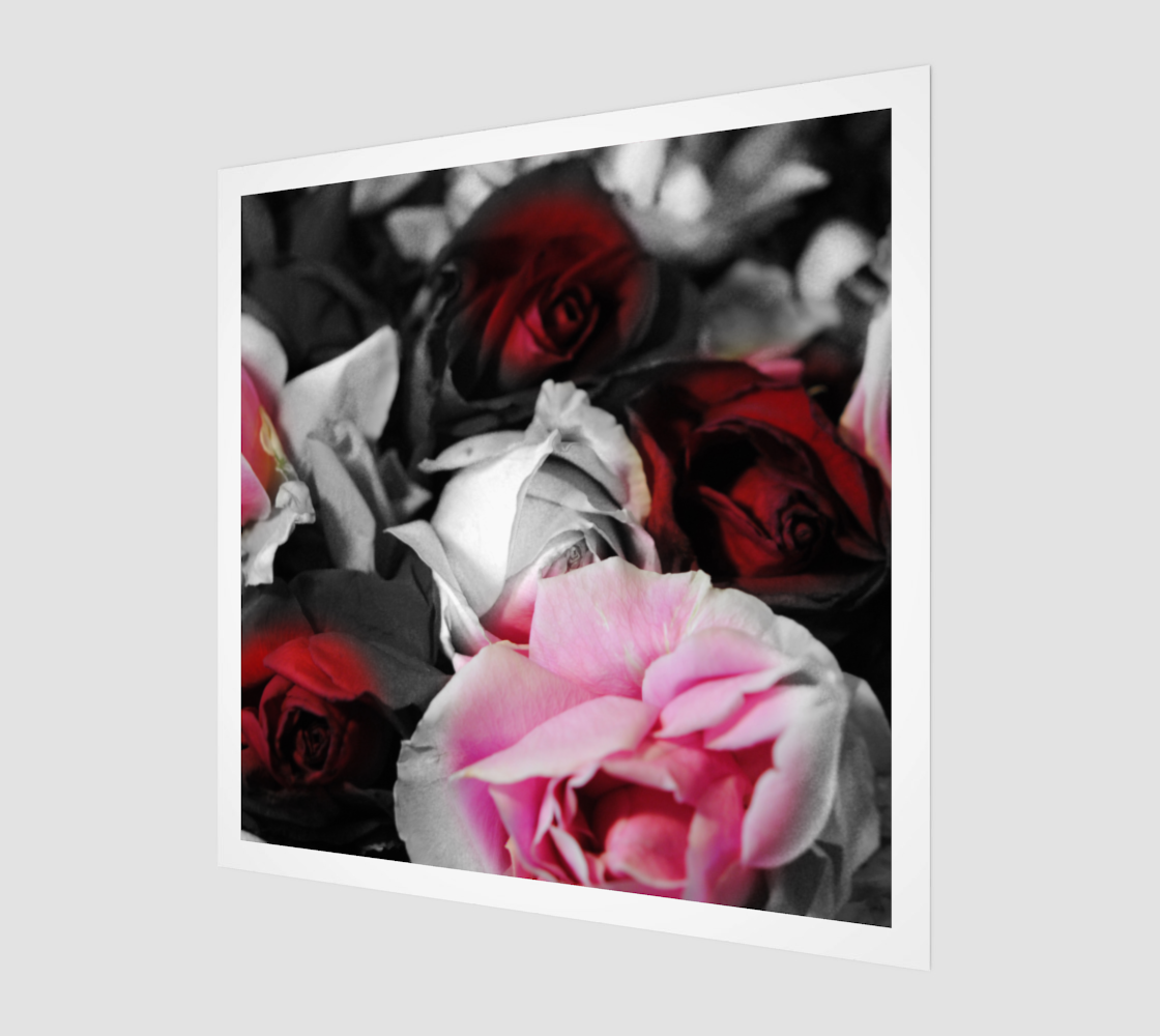Black and White Roses Art Print preview
