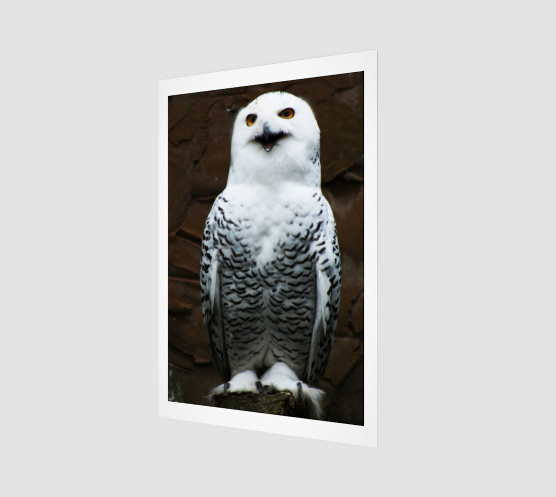 Snowy Owl Poster Print preview