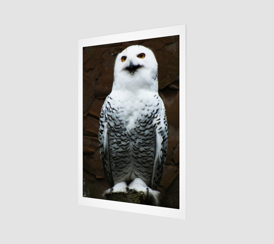 Snowy Owl Wood Print preview